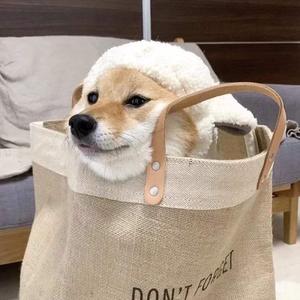 娇小白嫩的×XXx性英
